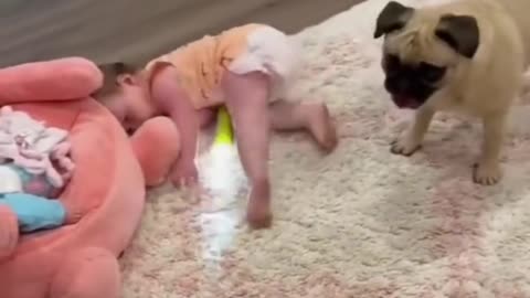 Adorable Baby Moments That Will Steal Your Heart ❤️ - Watch Till the End!