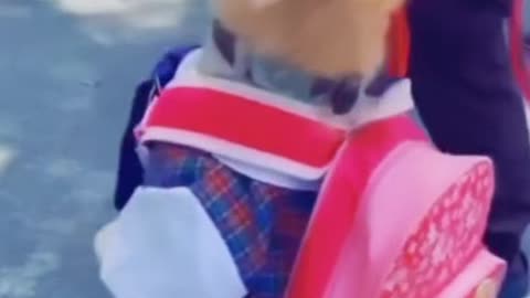 PUPPY GOING TO SCHOOL 😂 FUNNY VIDEO 🤭 #dog #viral #trending