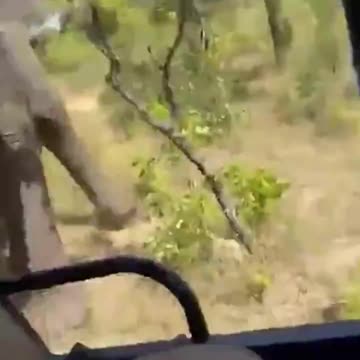 American tourist killed after an enraged bull elephant attacks a safari truck