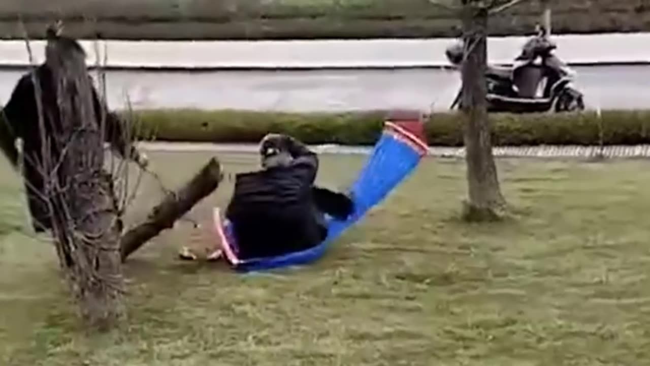 the end - funny fails 😂 TRY NOT TO LAUGH #funny #funnyfails #funnyvideo #humor #fails