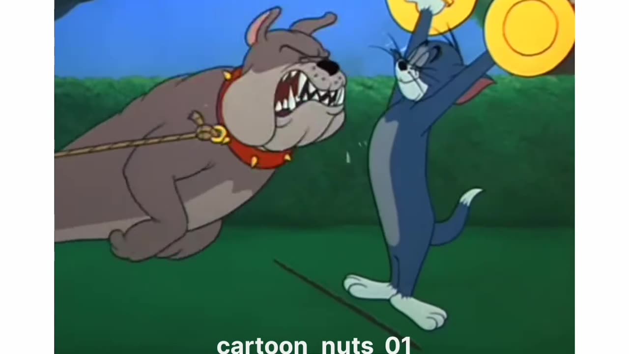 Tom& Jerry