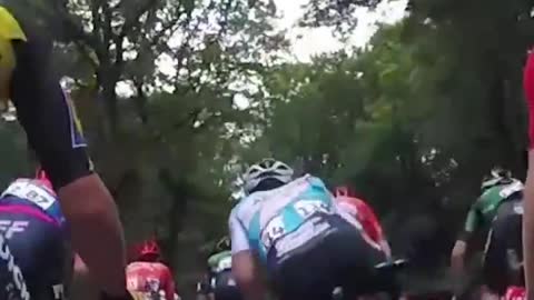 Incredible reactions from pro cyclist