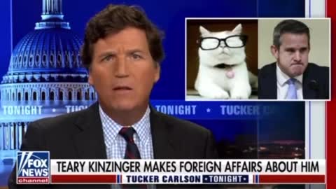 Tucker Gives SAVAGE Farewell Takedown of RINO Rep. Kinzinger