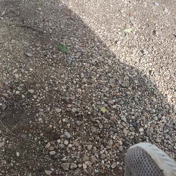 Don't ever play with