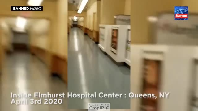 MS Media Lies "Hospitals Are Full Of People"