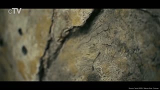 BEST MOVIES TO WATCH!!!