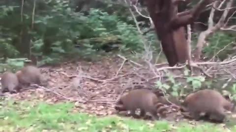 News Break: Admin Reveal