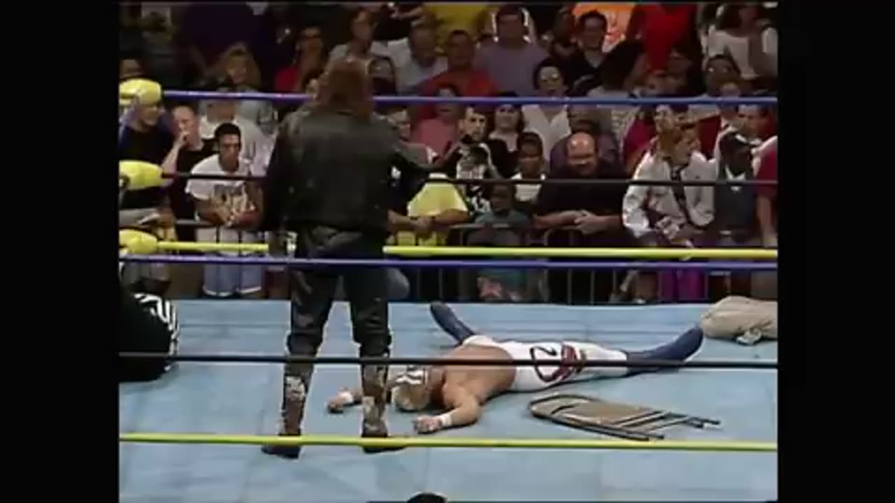 Jake Roberts attacks Sting