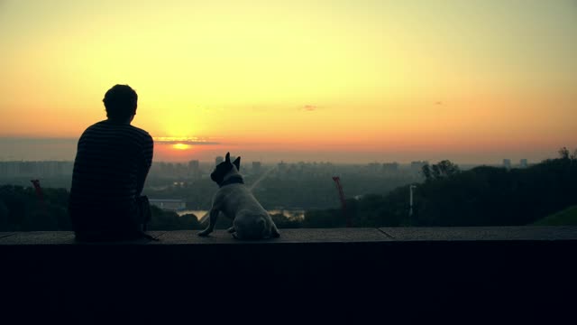Lovely couple enjoying the sunset with their cute dog.
