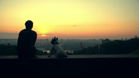 Lovely couple enjoying the sunset with their cute dog.