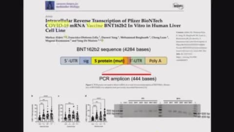 RNA is coppied by reverse transcription (line 1) and the dna mirror image is taken into the nucleus.