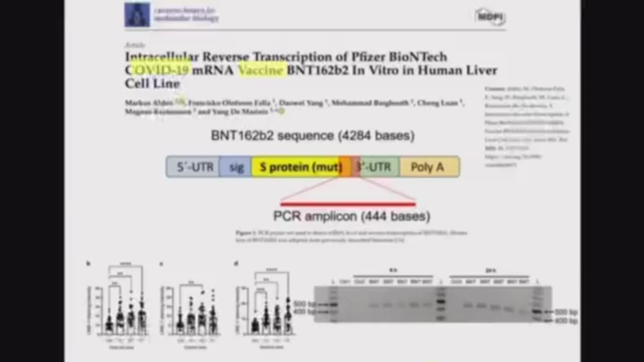 RNA is coppied by reverse transcription (line 1) and the dna mirror image is taken into the nucleus.