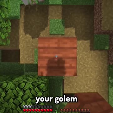 i renamed every item in Minecraft...