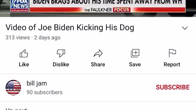 JOE BIDEN KICKING HIS DOG