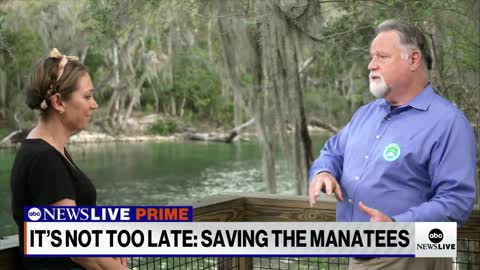 It’s Not Too Late_ Saving the manatees l ABCNL