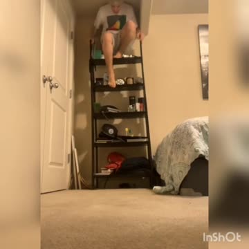 Funny Spiderman. 😄