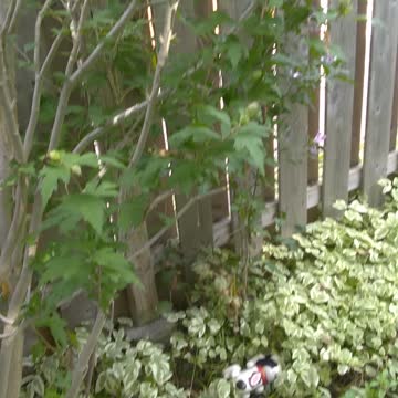 Rare flower do you know what it is