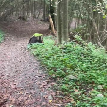 Freedom Cash Geocaching Paper Wallet - Walk to a Castle Close to a Cozy Bakery