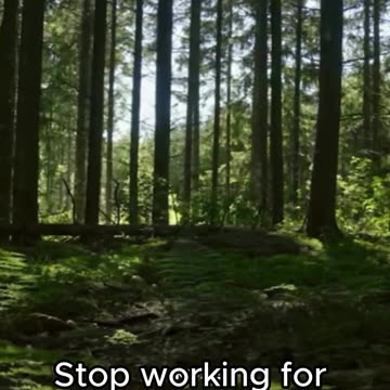 Get out of your situation