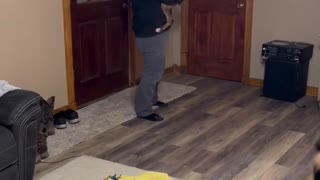 Happy Boxer Leaps into Mans Arms