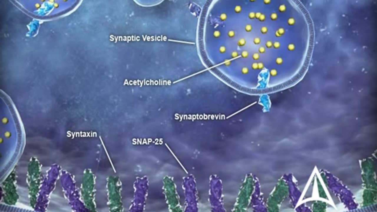 US WorldMeds - Mechanism of Action