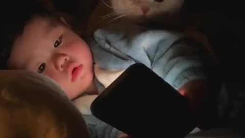 So cute animal