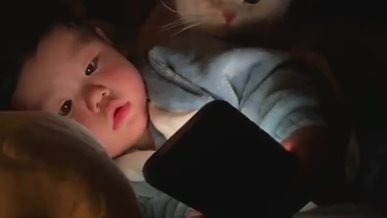 So cute animal