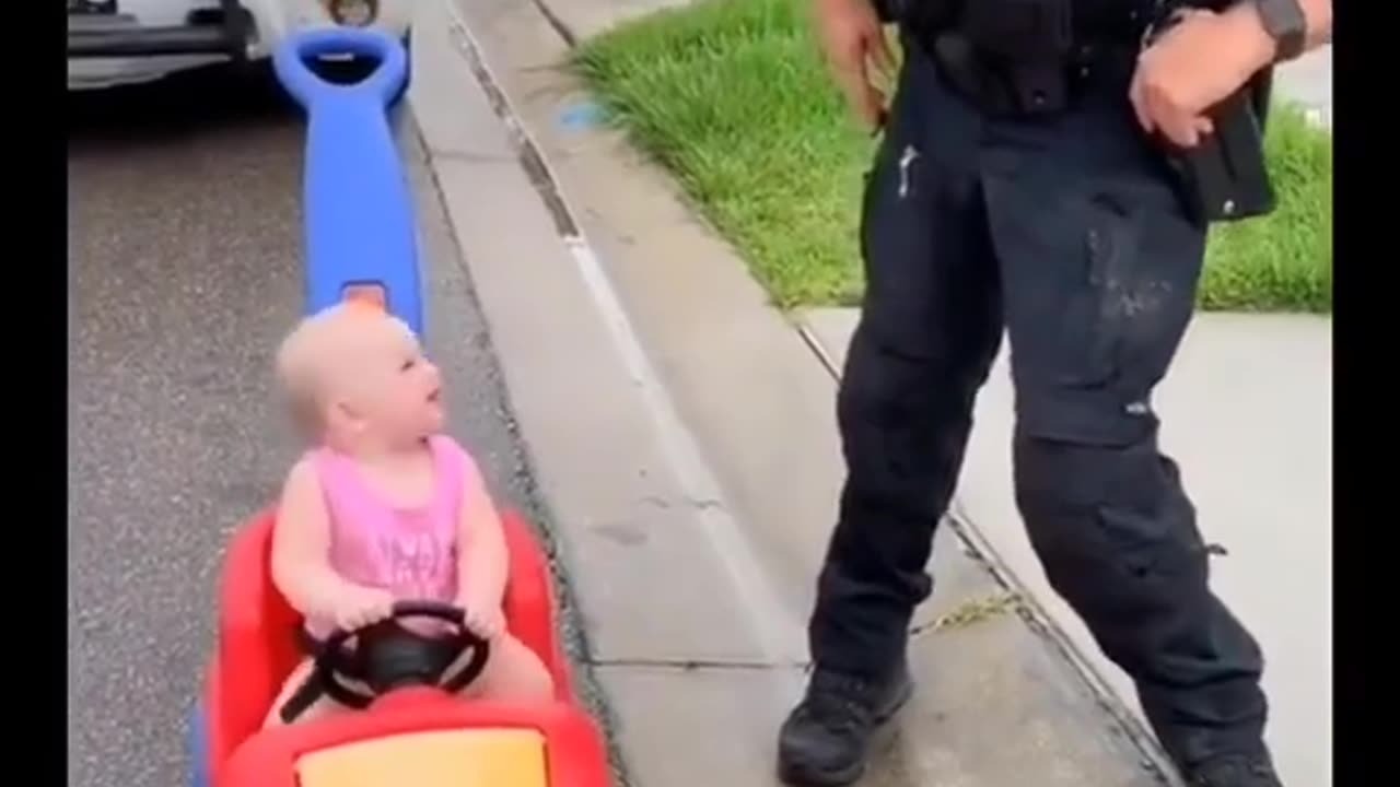 No seat belt no number plate