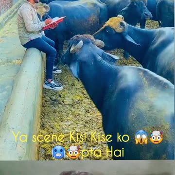 Comedy 💯 🤣 😳 😅