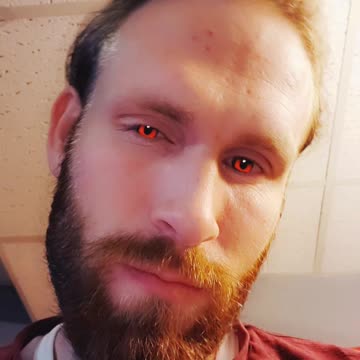 Werewolf or Vampire? (Day 3)