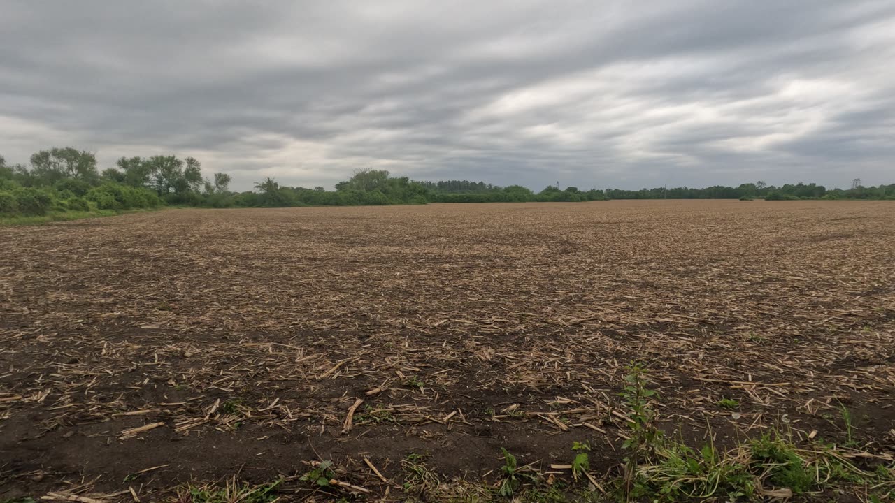 💨 Exploring 🛎️ Bells Corners Farm 🌽 Patch In Ottawa's West End 🧺