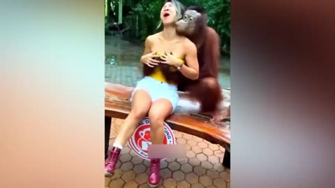 Cats and Dogs funny moments
