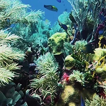 Beautiful Ocean 💙