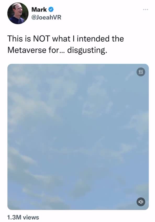 Meanwhile in the Metaverse