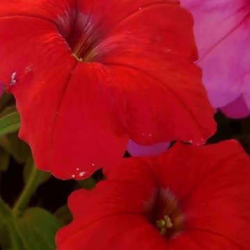 Transform Your Mood: How Relaxing This is Volume 76