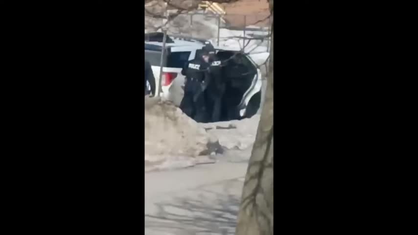 Ottawa Police Punch & Brutalize Protester