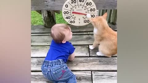 Best video of Cute Babies and Pets - Funny Baby and Pet