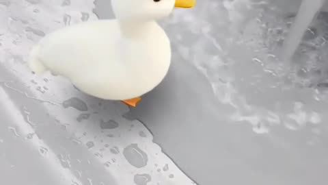 Such a cutie!