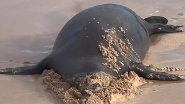 me crawling outa bed in the morning