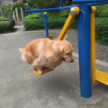 Love my Sunday time at the park 😍😍