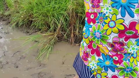 Amazing hand Fishing by Beautiful village Girl!!!