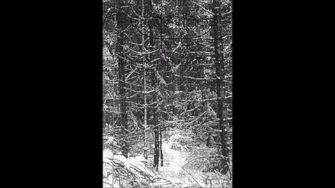 Sadorass - (1996) - demo - In the Chill of the Dark Forgotten Forest