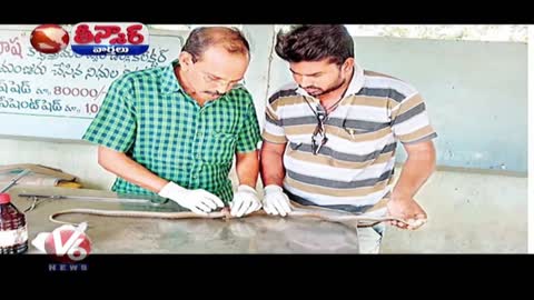 Wounded Cobra Undergoes Spinal Cord Surgery | Teenmaar News | V6 News