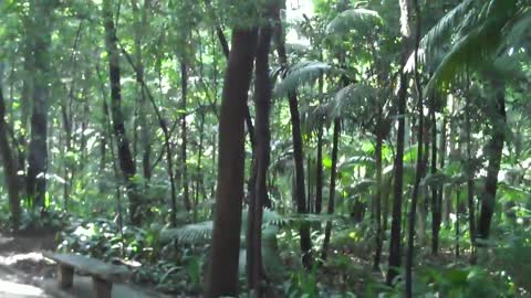 Um pouco do parque Trianon