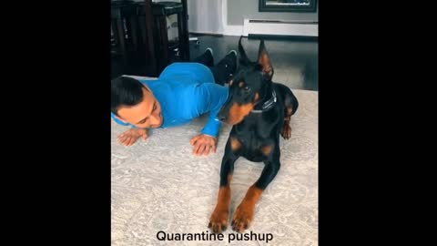 Funniest & Cutest Doberman Pinscher Puppies - Funny Doberman Pinscher Puppy Video Compilation 2021