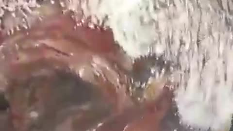 **Warning - Graphic Medical Content ** Graphene Oxide