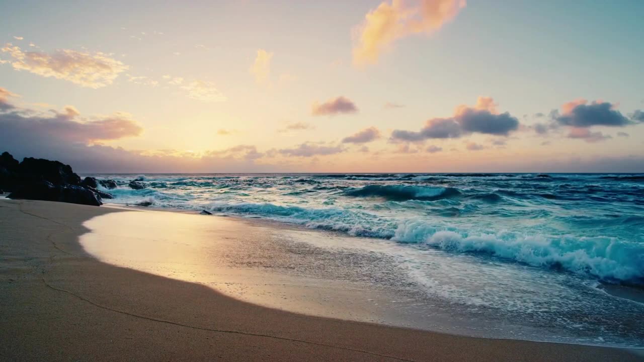 Peaceful Forest Rain for Meditation, Yoga, Relaxation, and Sleep #meditation #calmingmusic