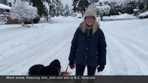 Southern B.C. blanketed with heavy snow, residents asked to stay home