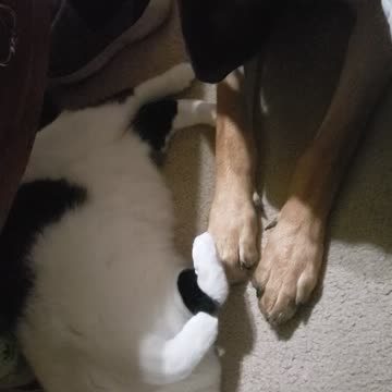 Edna finally gave in to roses demands of acceptance