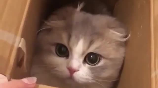 Suffering